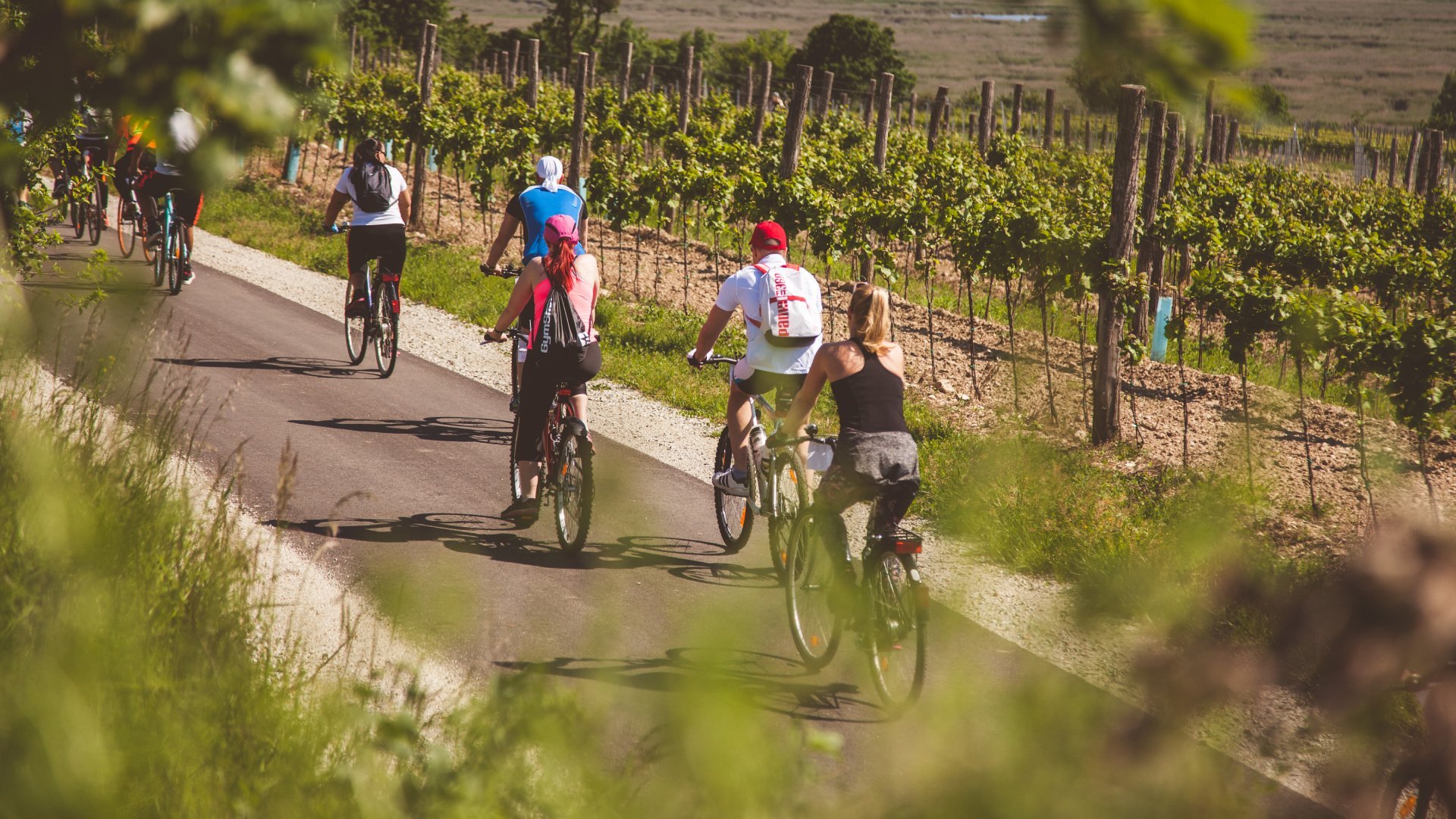 Hegykő, a tájak találkozása